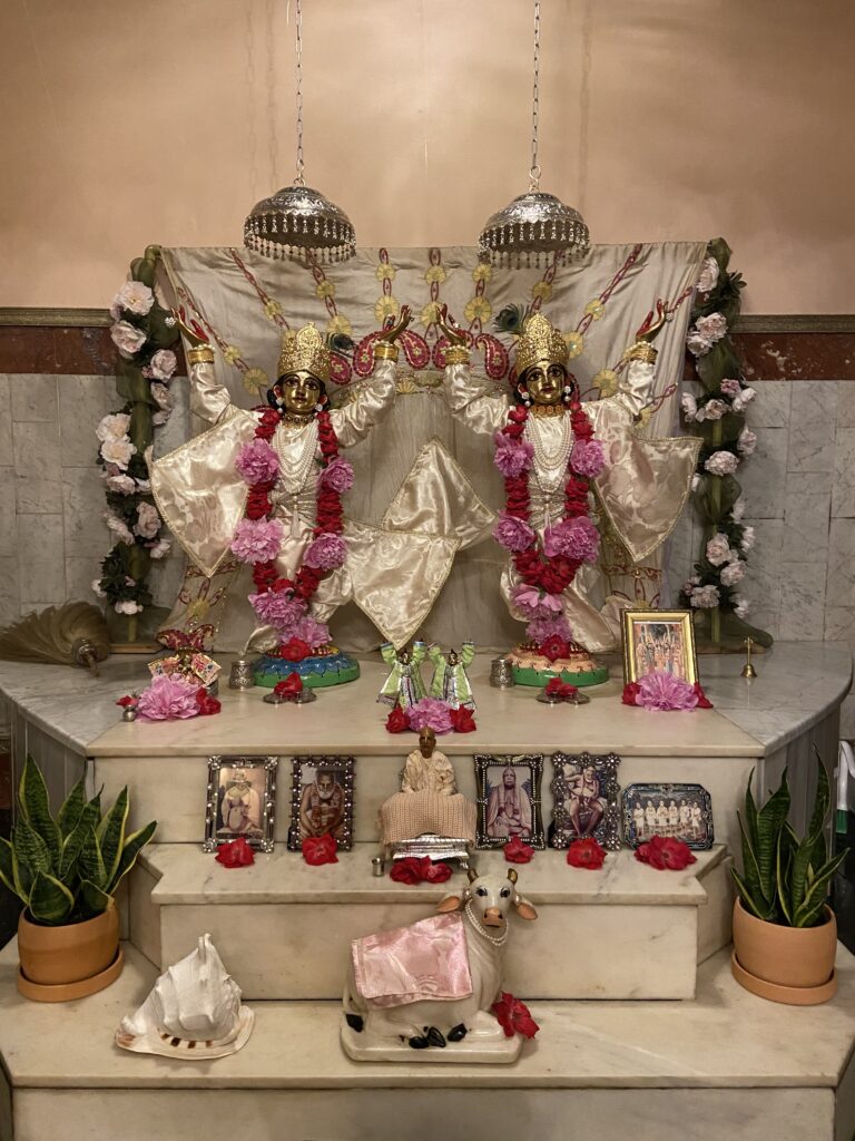 Sri Sri Nitai Gauracandra in cream white outfits wearing pink peony garlands. 